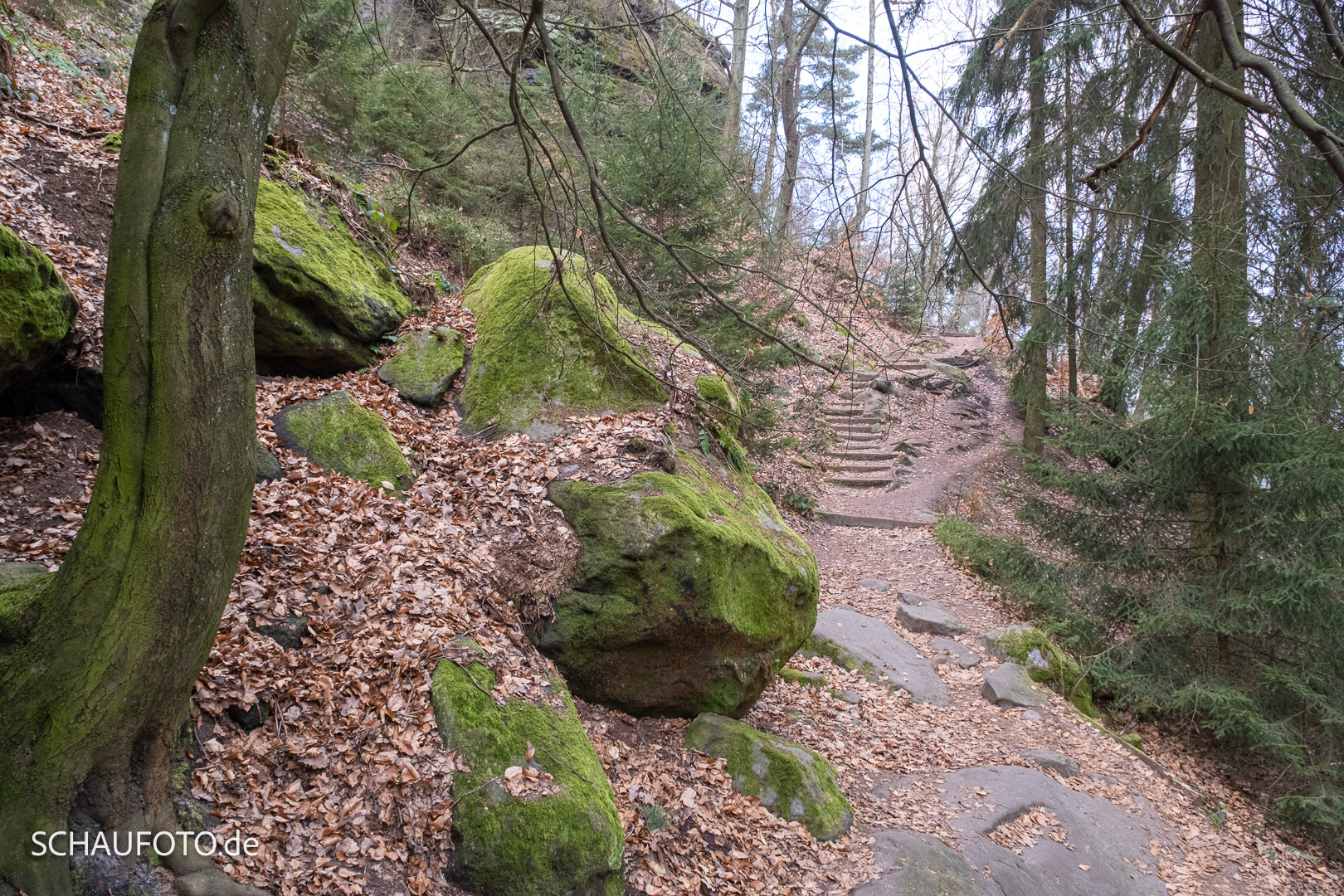 Wanderweg am Lilienstein