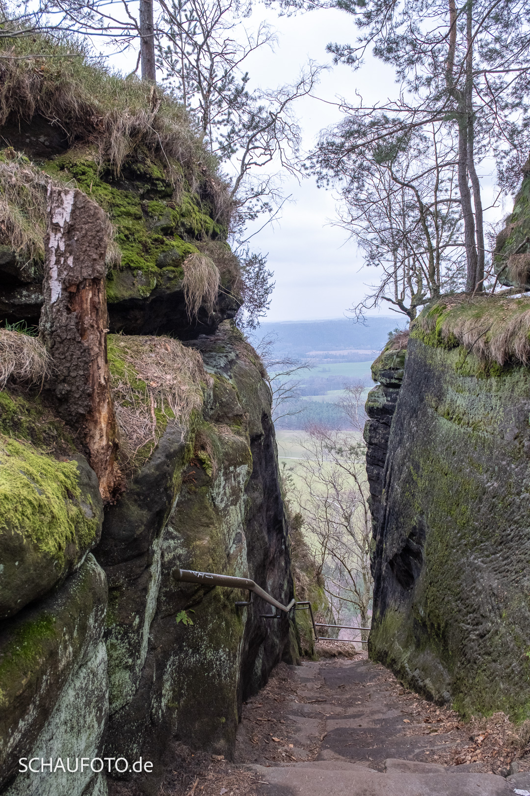 Auf dem Lilienstein.