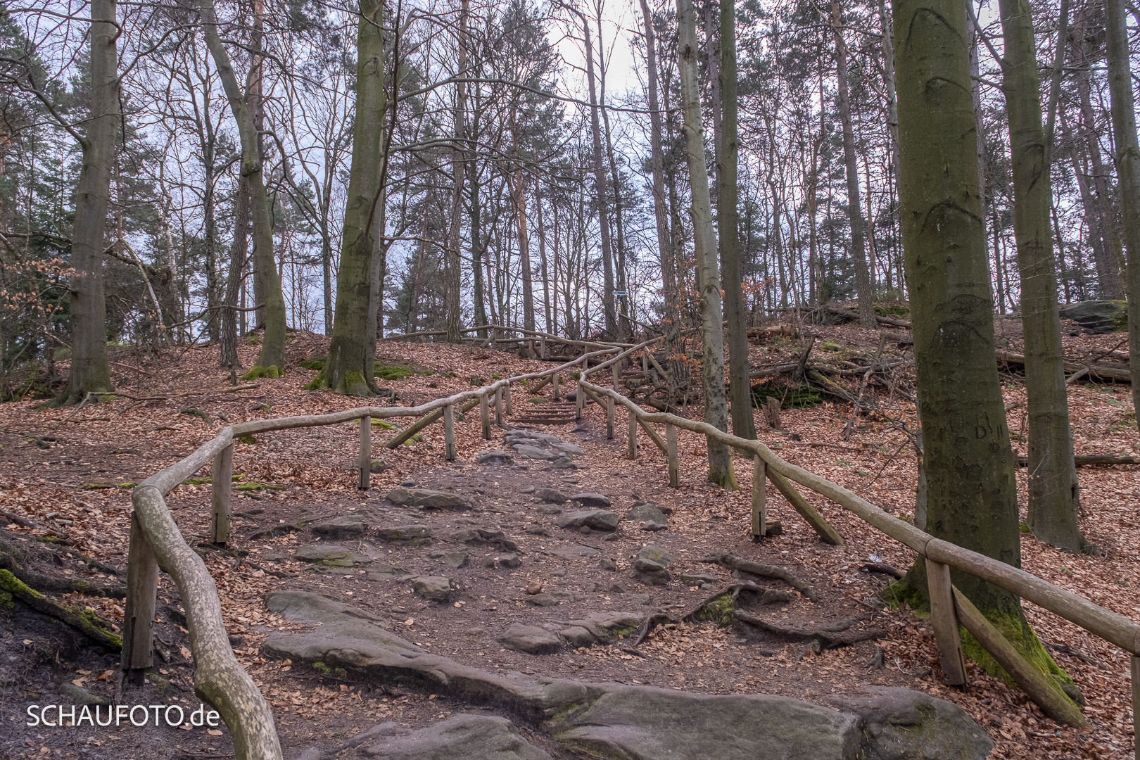 Auf dem Lilienstein-Plateau.