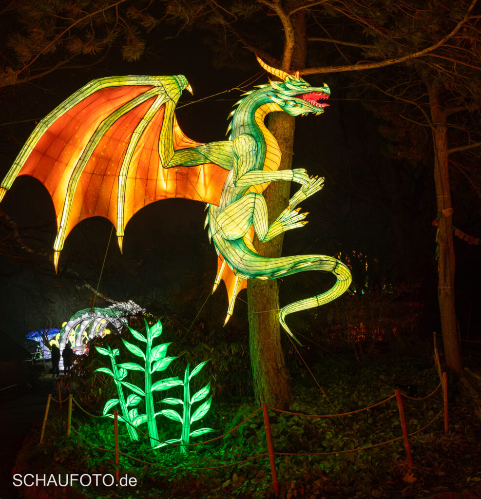 Magische Lichterwelt, Berg ZOO Halle